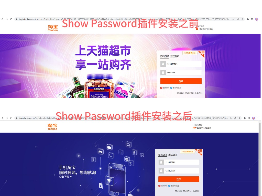 Show Password 插件使用教程