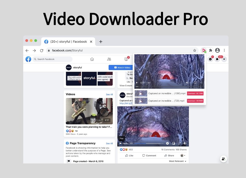 Video Downloader Pro插件，网页视频免费下载工具