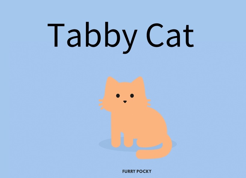 Tabby Cat插件，在Chrome浏览器新的标签打开猫