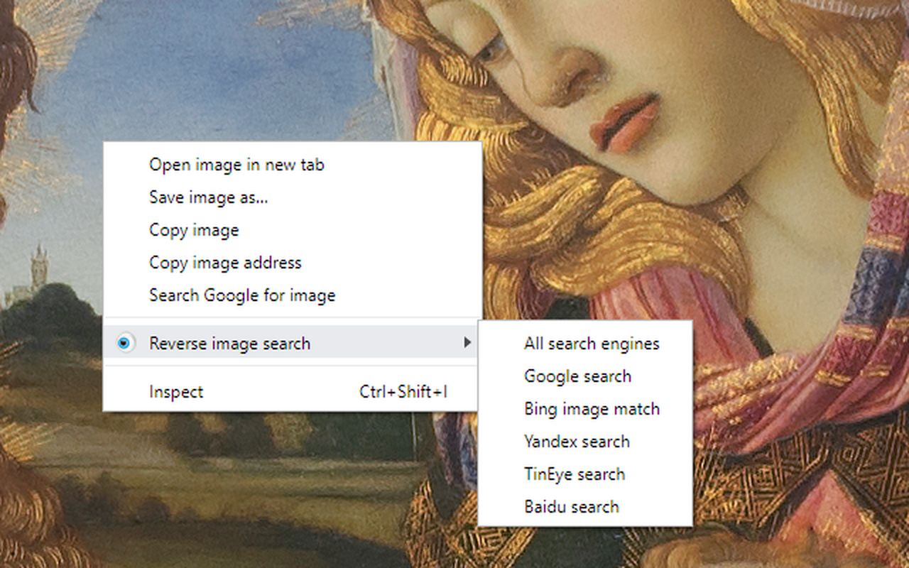 RevEye Reverse Image Search 插件使用教程