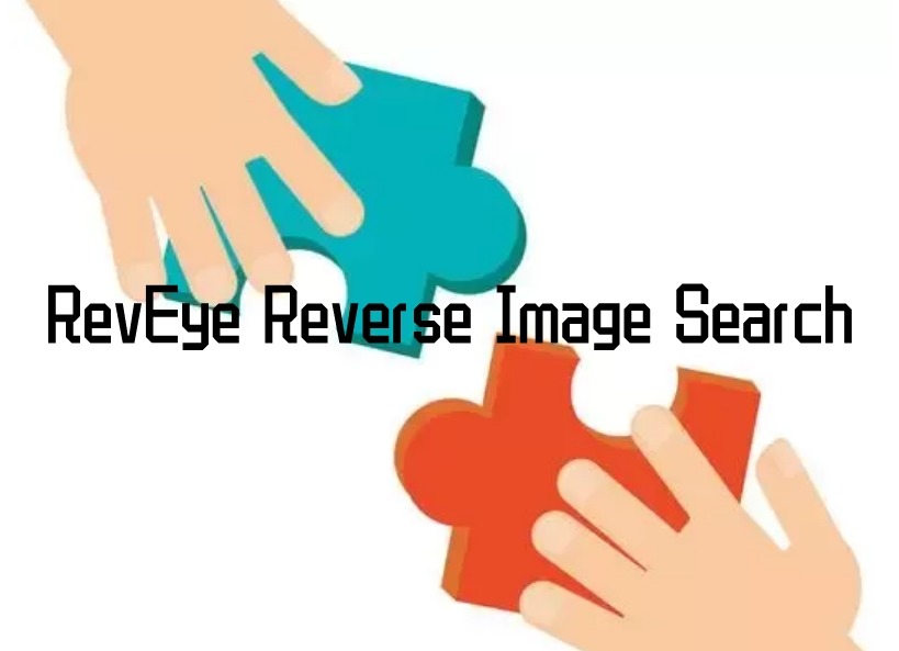 RevEye Reverse Image Search插件，在线免费以图搜图