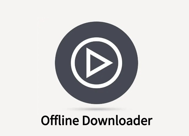 Offline Downloader插件，网页视频、音频免费下载器