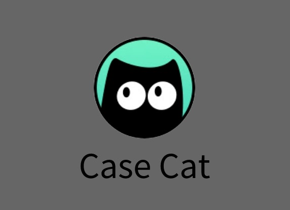 Case Cat插件，在线设置所选文本格式并复制