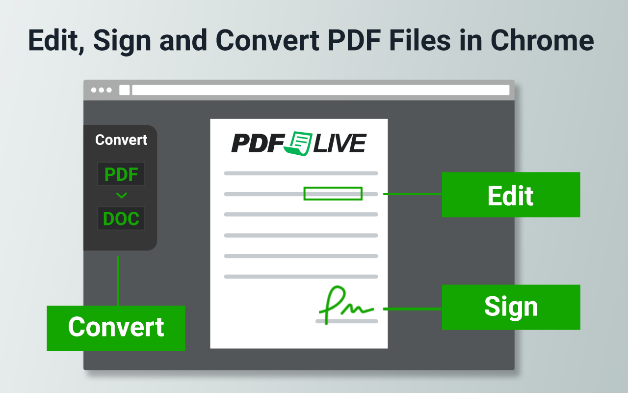 PDF.Live 插件使用教程