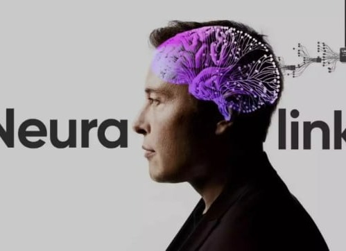 马斯克旗下脑机接口公司，今年将进行首例人体试验