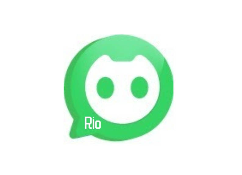 Rio插件，AI聊天支持的网页数字助理
