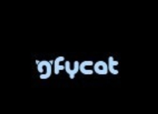GIF 分享网站 Gfycat 将于 9 月 1 日关闭，巅峰期月活曾超 2 亿
