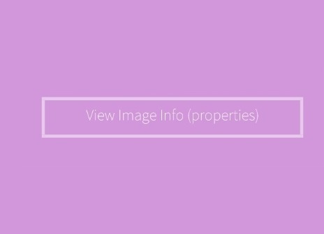 View Image Info (properties)插件，在线查看Chrome网页图像信息